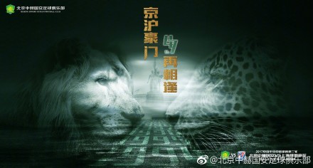 99精品视频在线观看免费