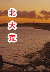 一级成人生活片免费看