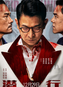 看全色黄大色黄大片视频