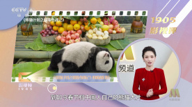 国产99久久久精品视频